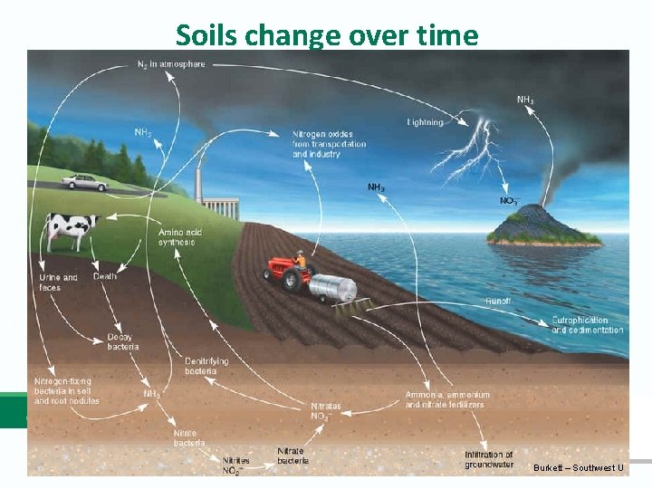 Soils change over time Burkett – Southwest U 