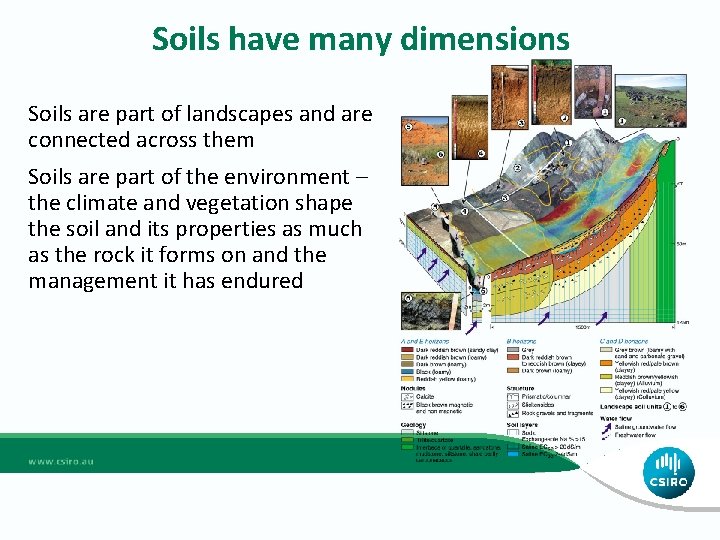Soils have many dimensions Soils are part of landscapes and are connected across them