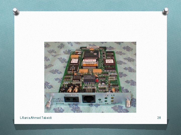 L. Rania Ahmed Tabeidi 28 