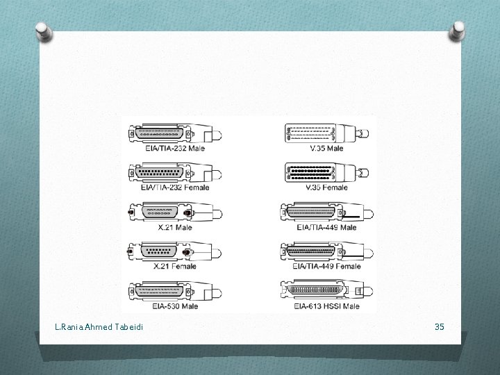 L. Rania Ahmed Tabeidi 35 