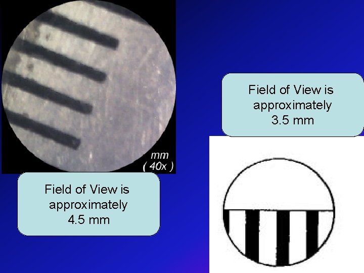 Field of View is approximately 3. 5 mm Field of View is approximately 4.