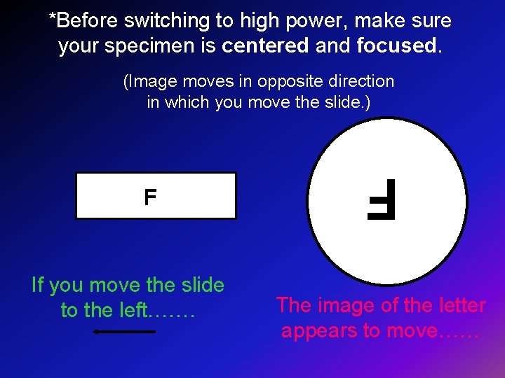 *Before switching to high power, make sure your specimen is centered and focused. (Image