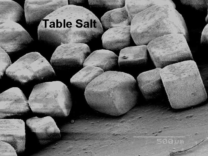 Table Salt Table Salt