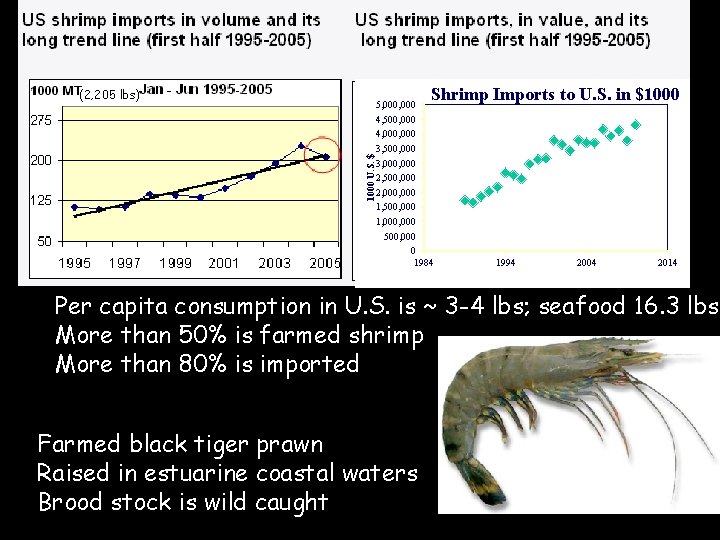 Shrimp Imports to U. S. in $1000 U. S. $ (2, 205 lbs) 5,