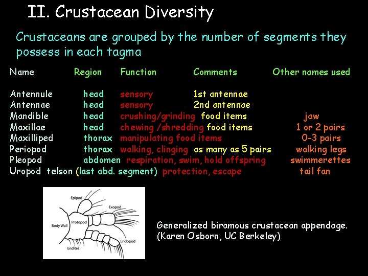 II. Crustacean Diversity Crustaceans are grouped by the number of segments they possess in