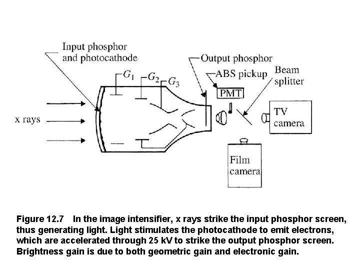 Figure 12. 7 In the image intensifier, x rays strike the input phosphor screen, thus