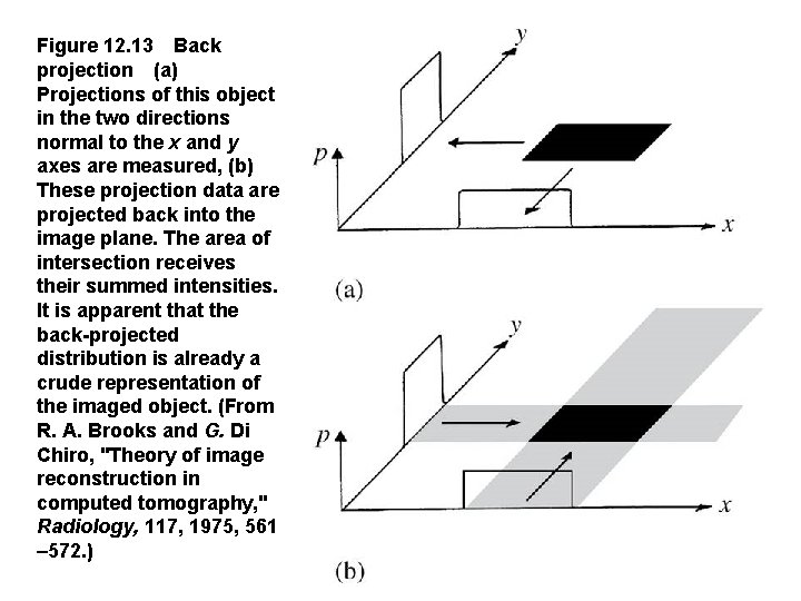 Figure 12. 13 Back projection (a) Projections of this object in the two directions normal to