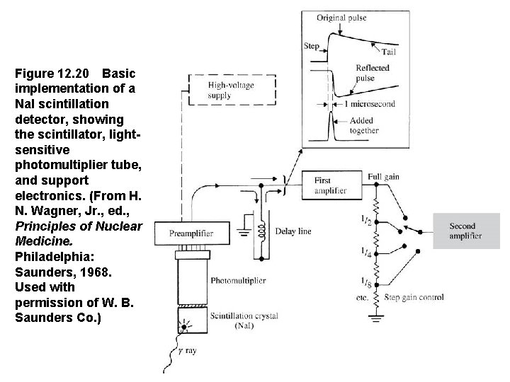 Figure 12. 20 Basic implementation of a Na. I scintillation detector, showing the scintillator, lightsensitive
