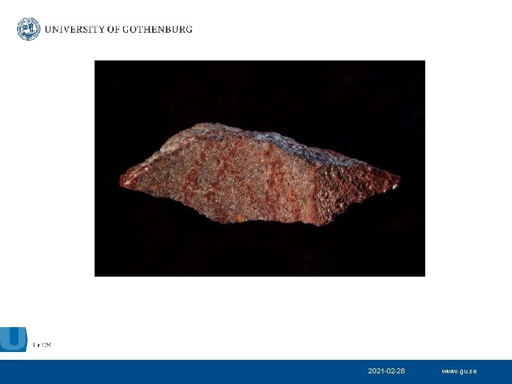 2021 -02 -28 www. gu. se 