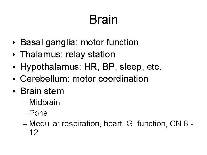 Brain • • • Basal ganglia: motor function Thalamus: relay station Hypothalamus: HR, BP,