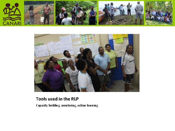 Tools used in the RLP Capacity building, mentoring, action learning 