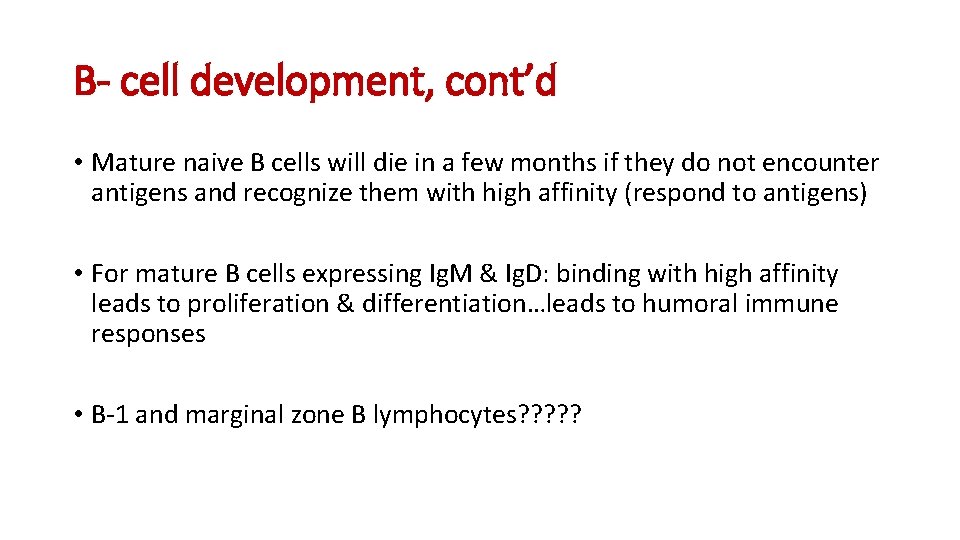 B- cell development, cont’d • Mature naive B cells will die in a few