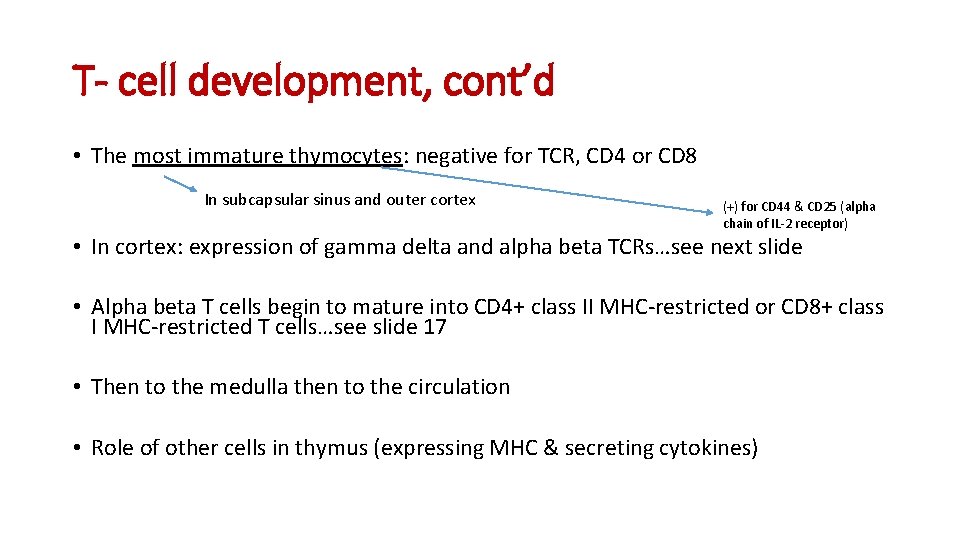 T- cell development, cont’d • The most immature thymocytes: negative for TCR, CD 4
