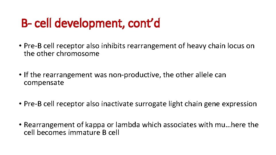 B- cell development, cont’d • Pre-B cell receptor also inhibits rearrangement of heavy chain