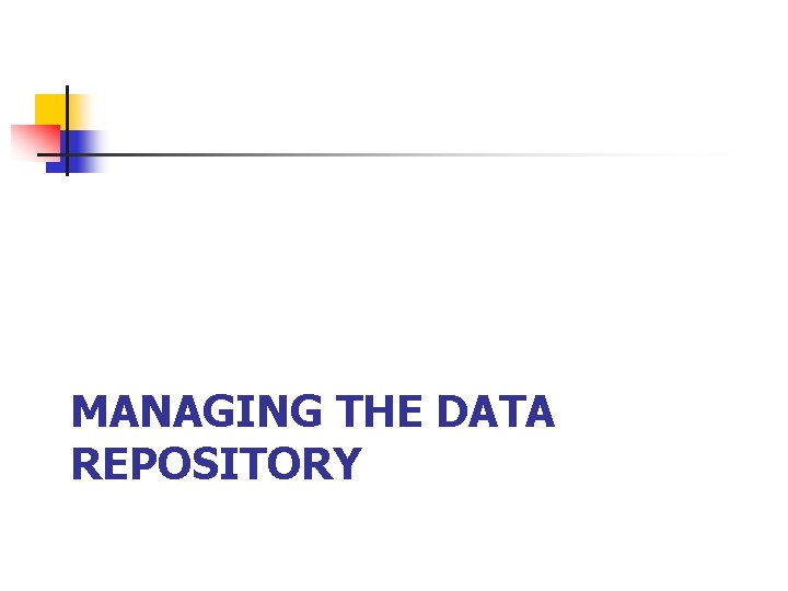 MANAGING THE DATA REPOSITORY 