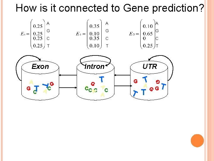 How is it connected to Gene prediction? A A A G G G C