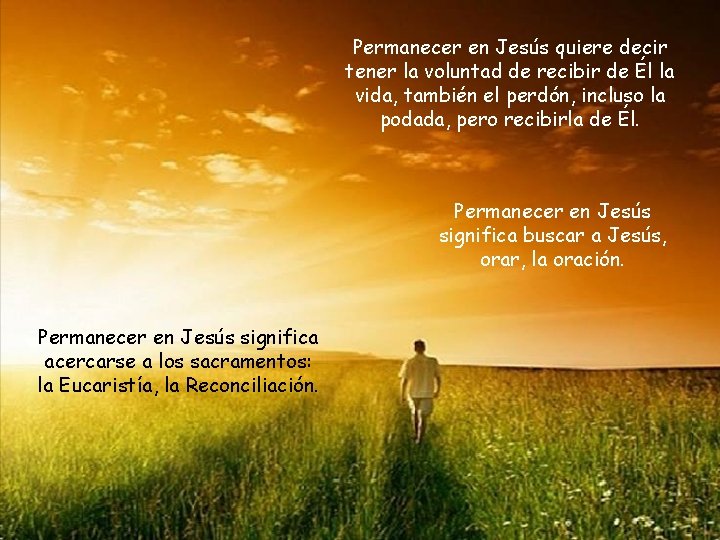 Permanecer en Jesús quiere decir tener la voluntad de recibir de Él la vida,