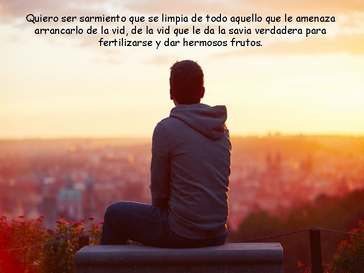 Quiero ser sarmiento que se limpia de todo aquello que le amenaza arrancarlo de