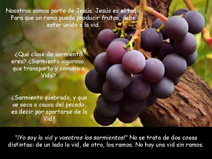 Nosotros somos parte de Jesús es el todo. Para que un ramo pueda producir