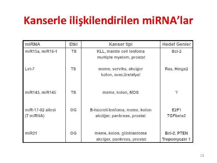 Kanserle ilişkilendirilen mi. RNA’lar 13 