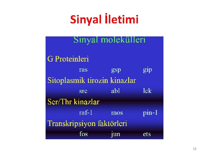 Sinyal İletimi 15 