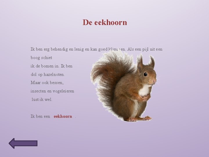 De eekhoorn Ik ben erg behendig en lenig en kan goed klimmen. Als een