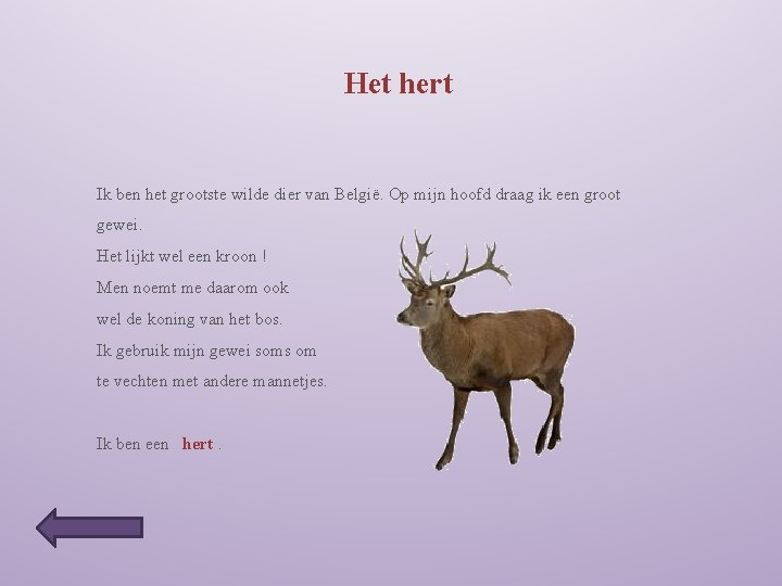 Het hert Ik ben het grootste wilde dier van België. Op mijn hoofd draag