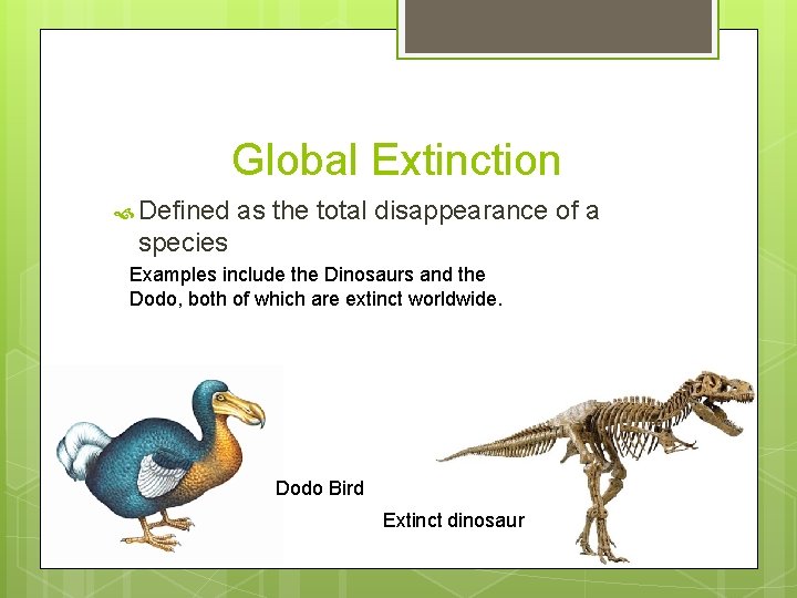 Global Extinction Defined as the total disappearance of a species Examples include the Dinosaurs