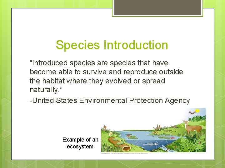 Species Introduction “Introduced species are species that have become able to survive and reproduce