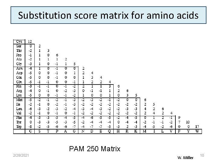 Substitution score matrix for amino acids PAM 250 Matrix 2/28/2021 W. Miller 10 