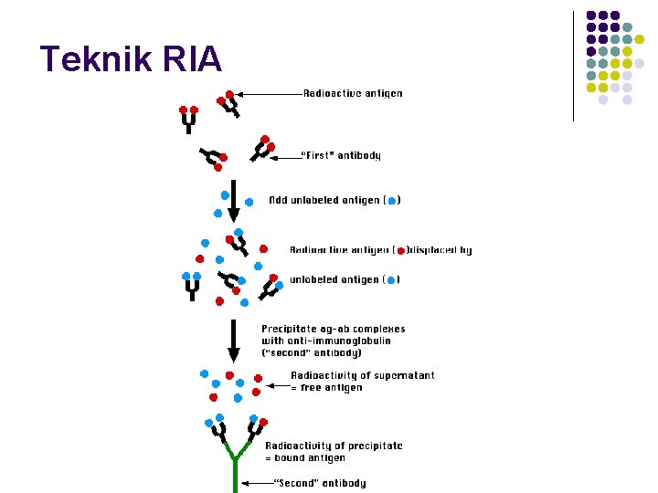 Teknik RIA 