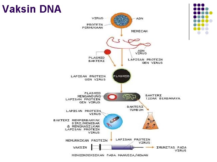 Vaksin DNA 