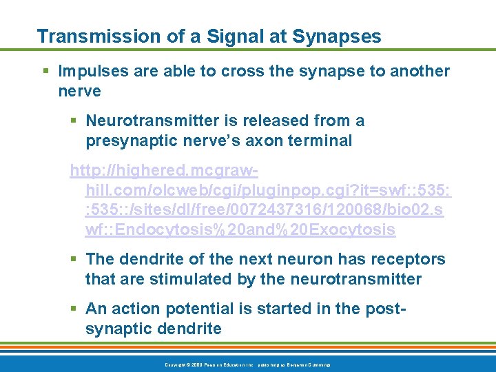 Transmission of a Signal at Synapses § Impulses are able to cross the synapse