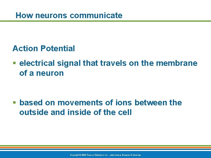 How neurons communicate Action Potential § electrical signal that travels on the membrane of