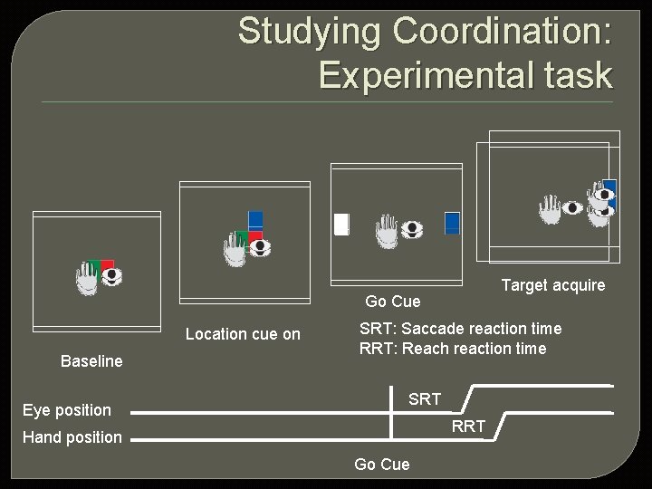 Studying Coordination: Experimental task Target acquire Go Cue Location cue on Baseline Eye position