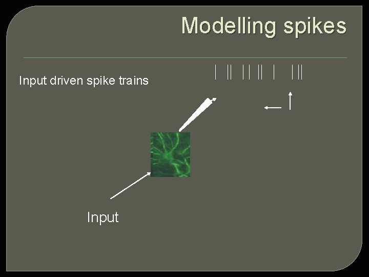 Modelling spikes Input driven spike trains Input 