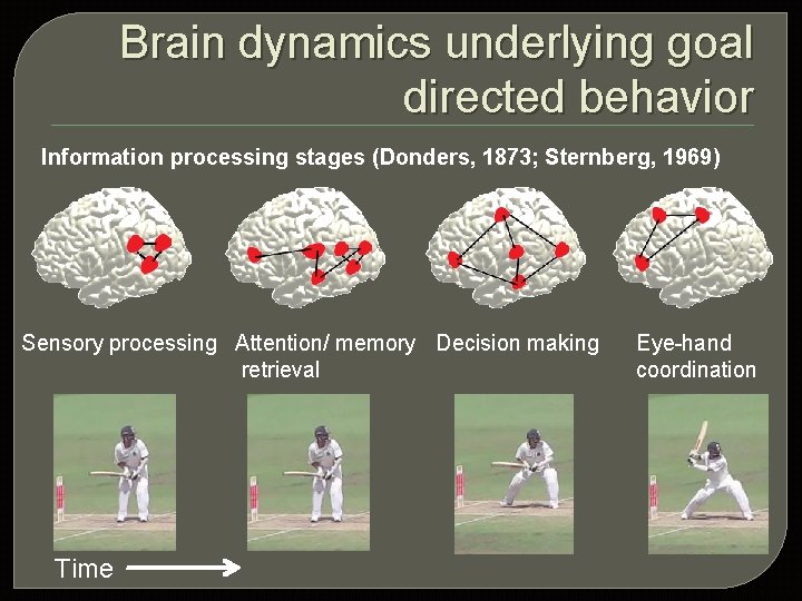 Brain dynamics underlying goal directed behavior Information processing stages (Donders, 1873; Sternberg, 1969) Sensory