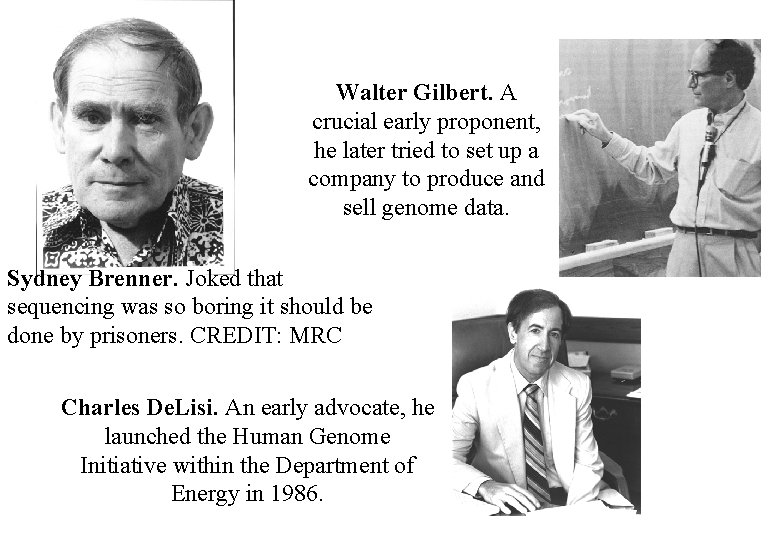 Walter Gilbert. A crucial early proponent, he later tried to set up a company