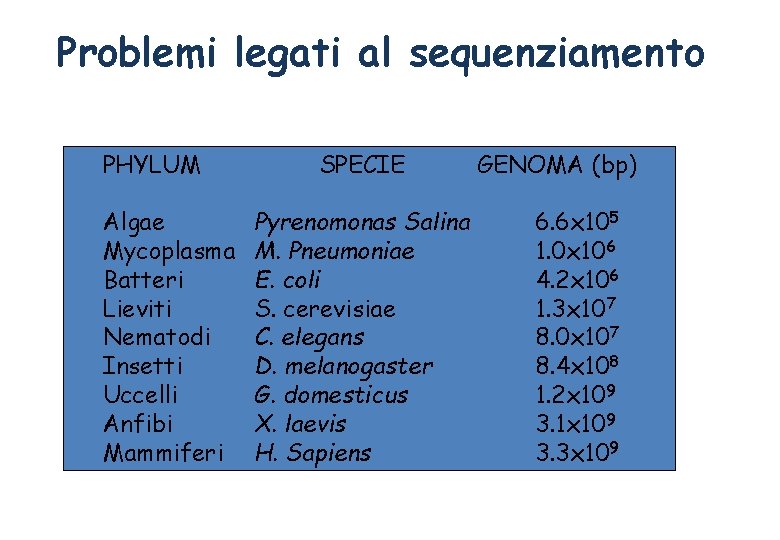 Problemi legati al sequenziamento Dimensioni dei PHYLUM SPECIE Algae Mycoplasma Batteri Lieviti Nematodi Insetti