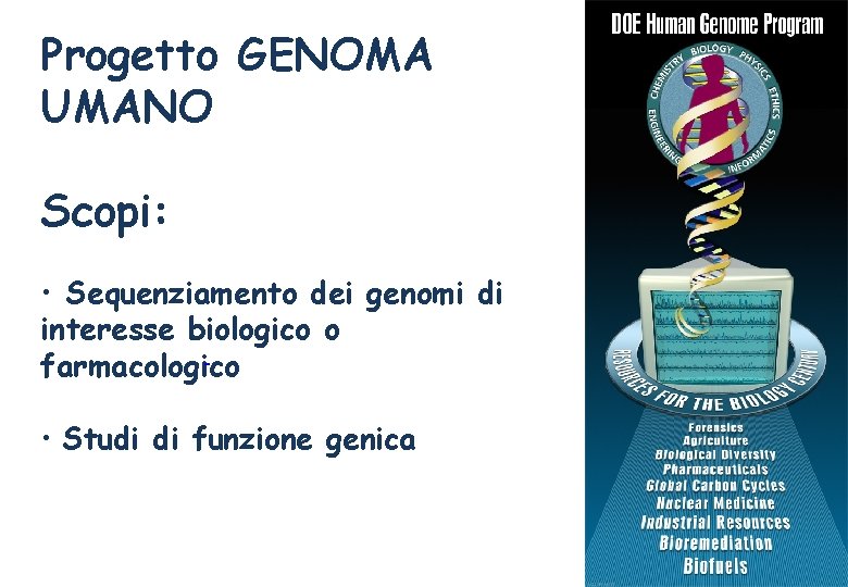 Progetto GENOMA UMANO http: //www. ornl. gov/sci/techresources/Human_Genome/home. shtml Scopi: • Sequenziamento dei genomi di