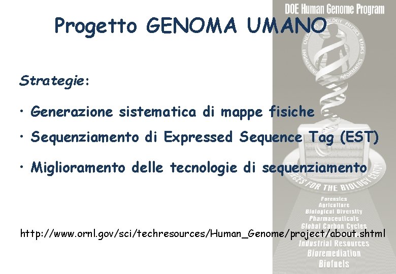 Progetto GENOMA UMANO Strategie: • Generazione sistematica di mappe fisiche • Sequenziamento di Expressed