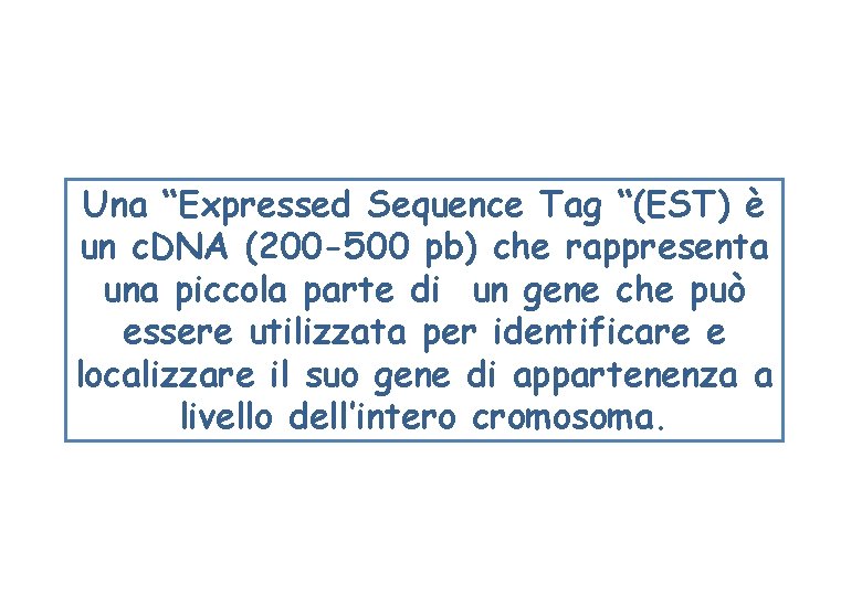 Una “Expressed Sequence Tag “(EST) è un c. DNA (200 -500 pb) che rappresenta