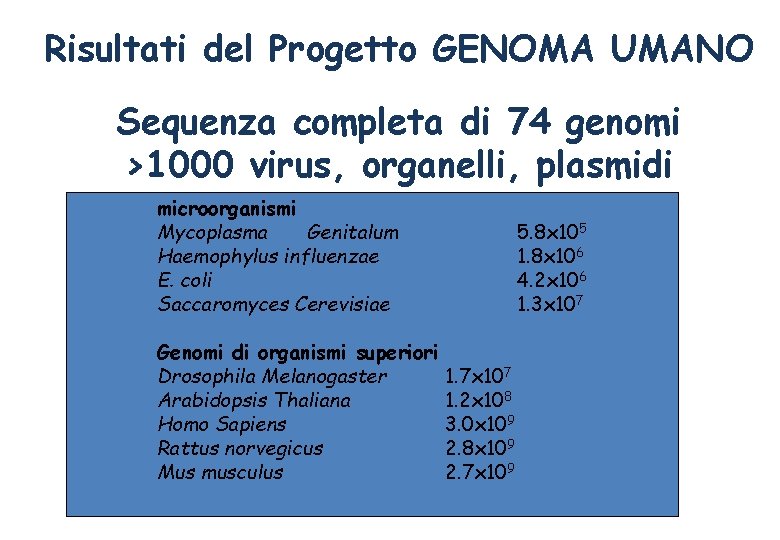 Risultati del Progetto GENOMA UMANO Sequenza completa di 74 genomi >1000 virus, organelli, plasmidi