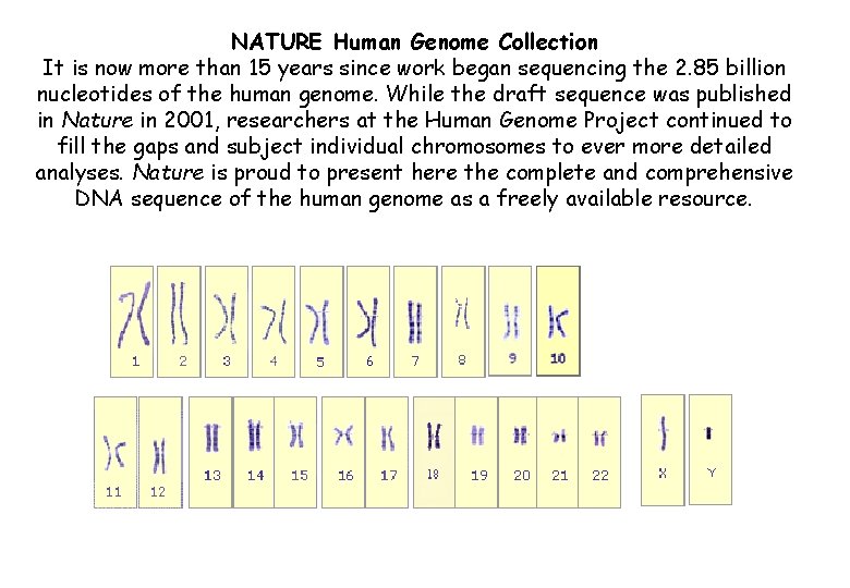 NATURE Human Genome Collection It is now more than 15 years since work began