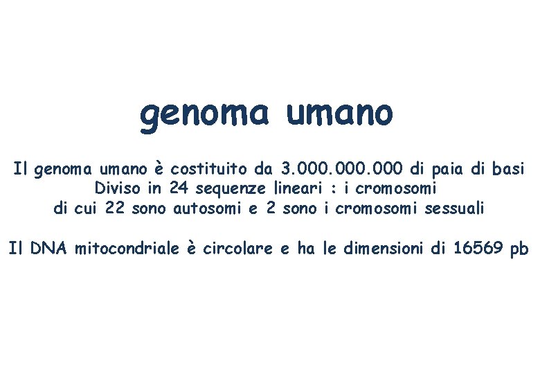 genoma umano Il genoma umano è costituito da 3. 000 di paia di basi