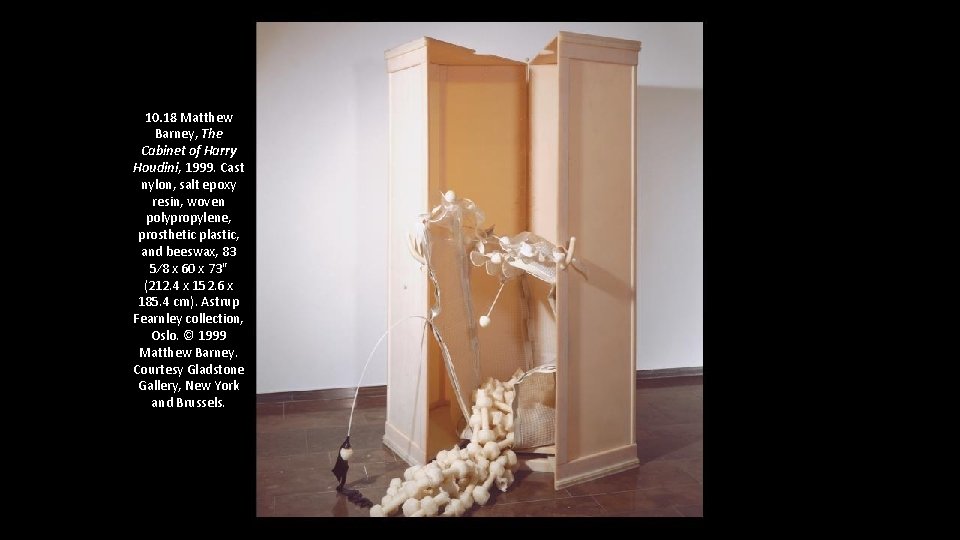 10. 18 Matthew Barney, The Cabinet of Harry Houdini, 1999. Cast nylon, salt epoxy