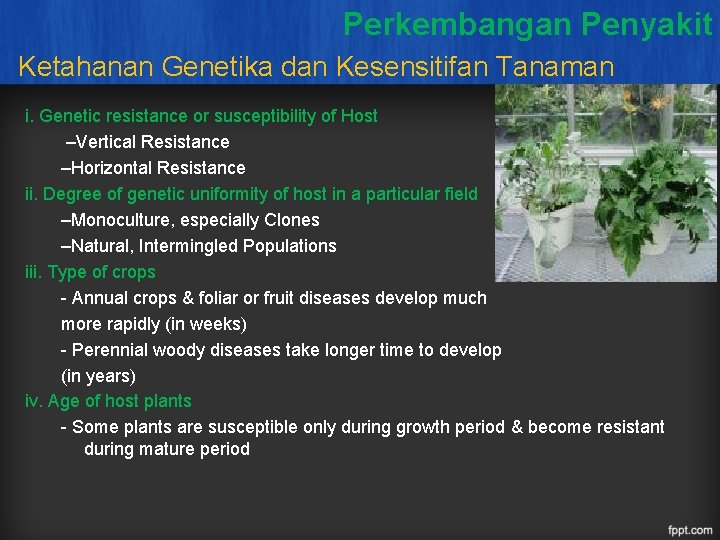 Perkembangan Penyakit Ketahanan Genetika dan Kesensitifan Tanaman i. Genetic resistance or susceptibility of Host