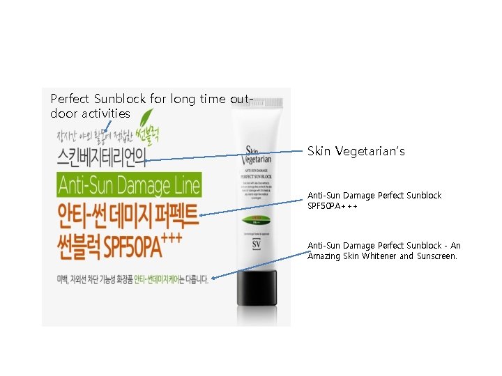 Perfect Sunblock for long time outdoor activities Skin Vegetarian’s Anti-Sun Damage Perfect Sunblock SPF