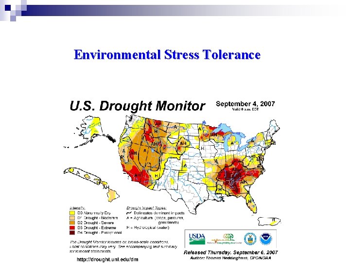 Environmental Stress Tolerance 