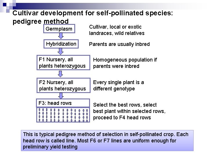 Cultivar development for self-pollinated species: pedigree method Germplasm Cultivar, local or exotic landraces, wild